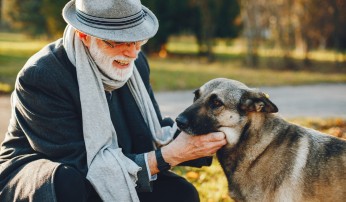 Animais de estimação ajudam na saúde física e mental do idoso