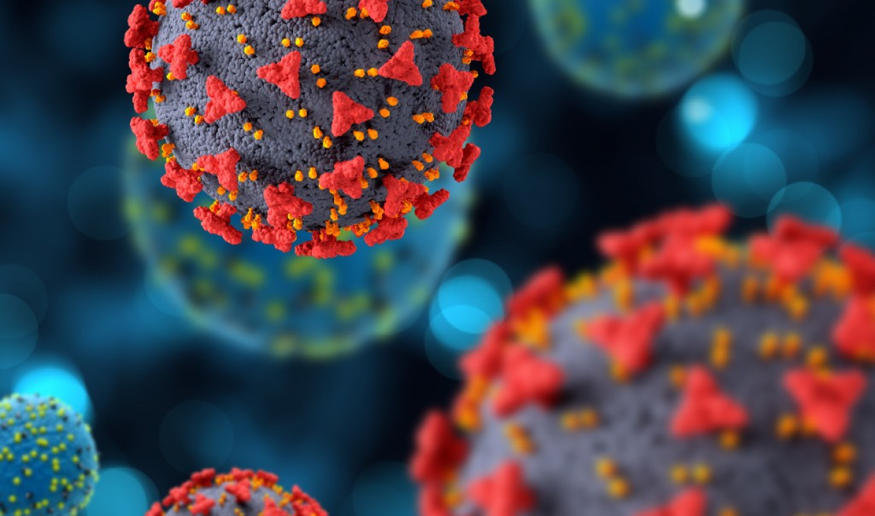 Nova cepa do Coronavírus: Entenda o que significa