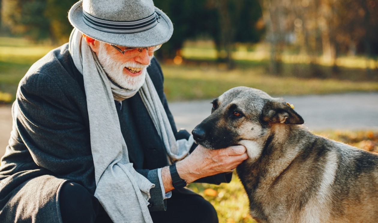 Animais de estimação ajudam na saúde física e mental do idoso